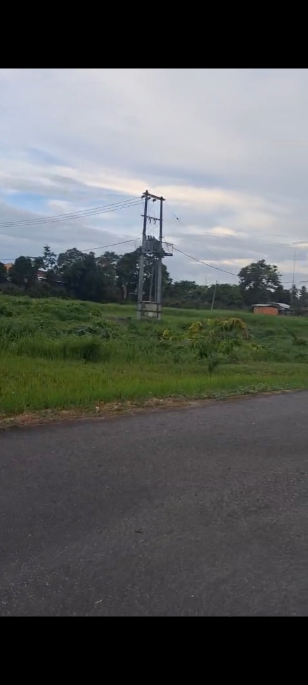 Spot Jogging Rindang Ini Bikin Lari Makin Semangat